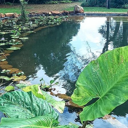 Deo Resta Guest Lodge Piet Retief Eksteriør billede