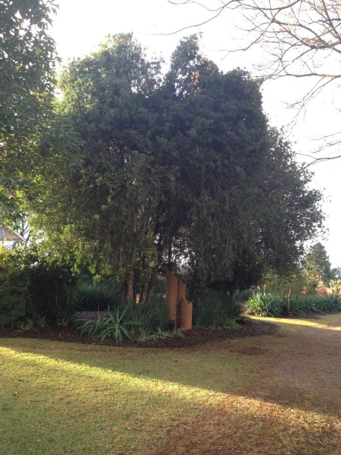 Deo Resta Guest Lodge Piet Retief Eksteriør billede
