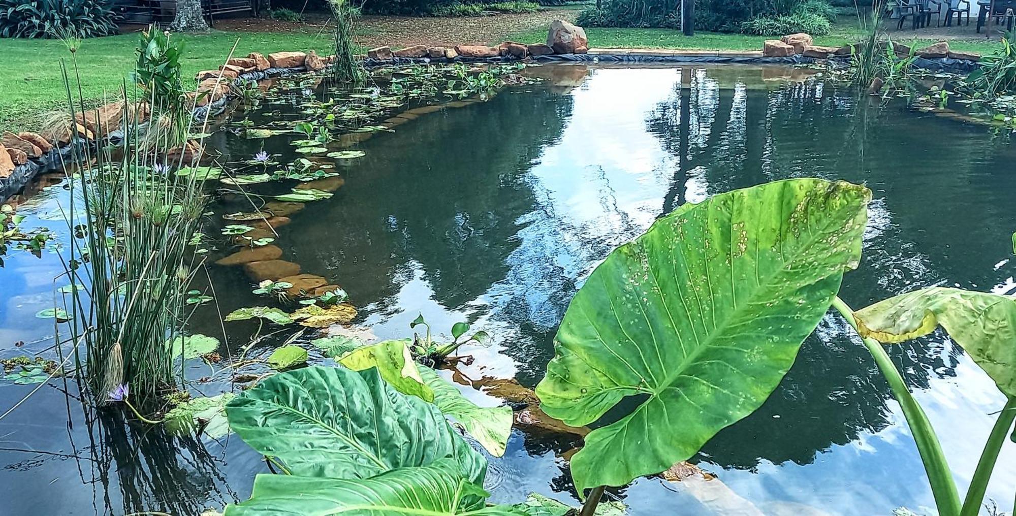 Deo Resta Guest Lodge Piet Retief Eksteriør billede