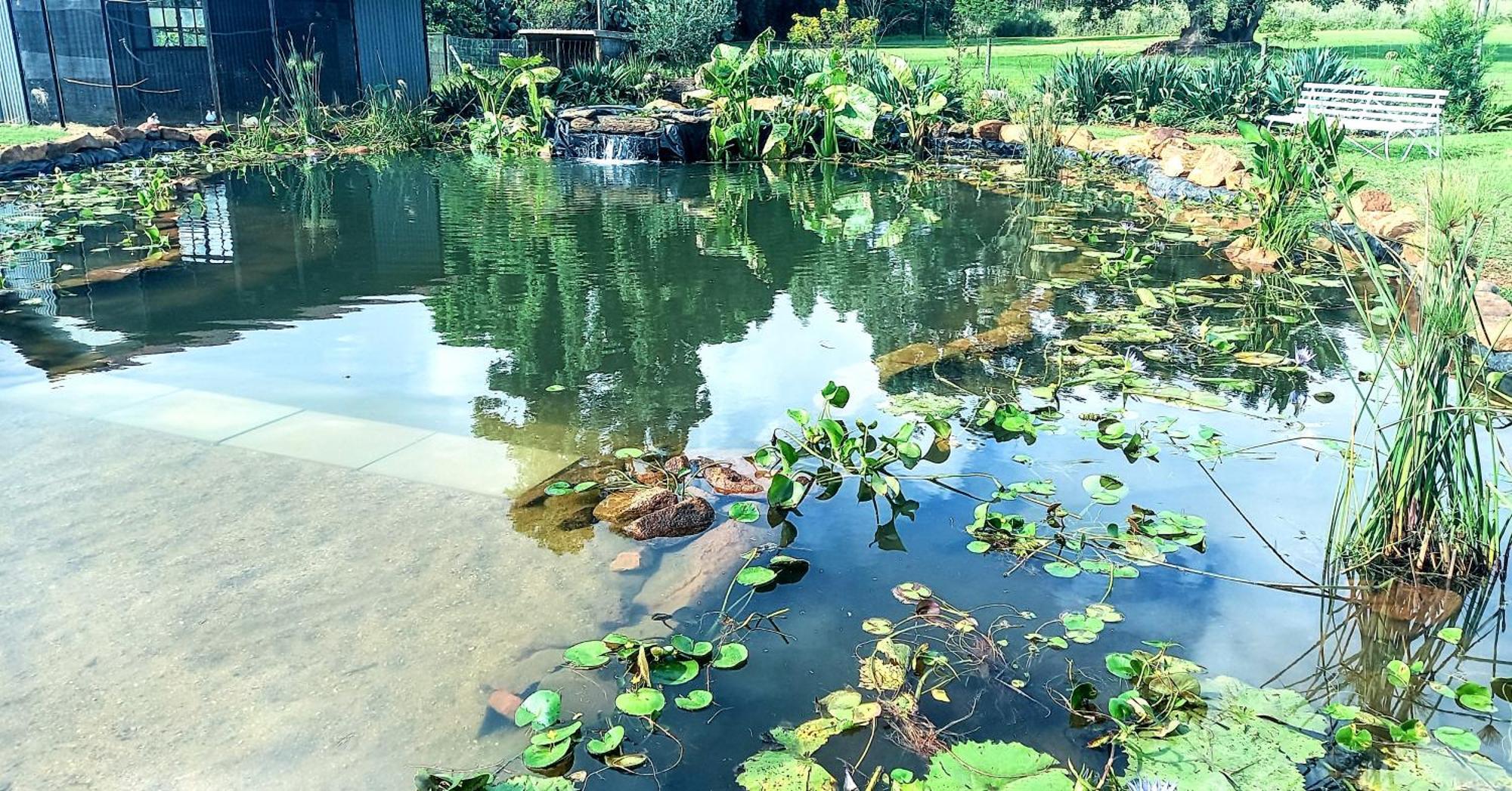Deo Resta Guest Lodge Piet Retief Eksteriør billede